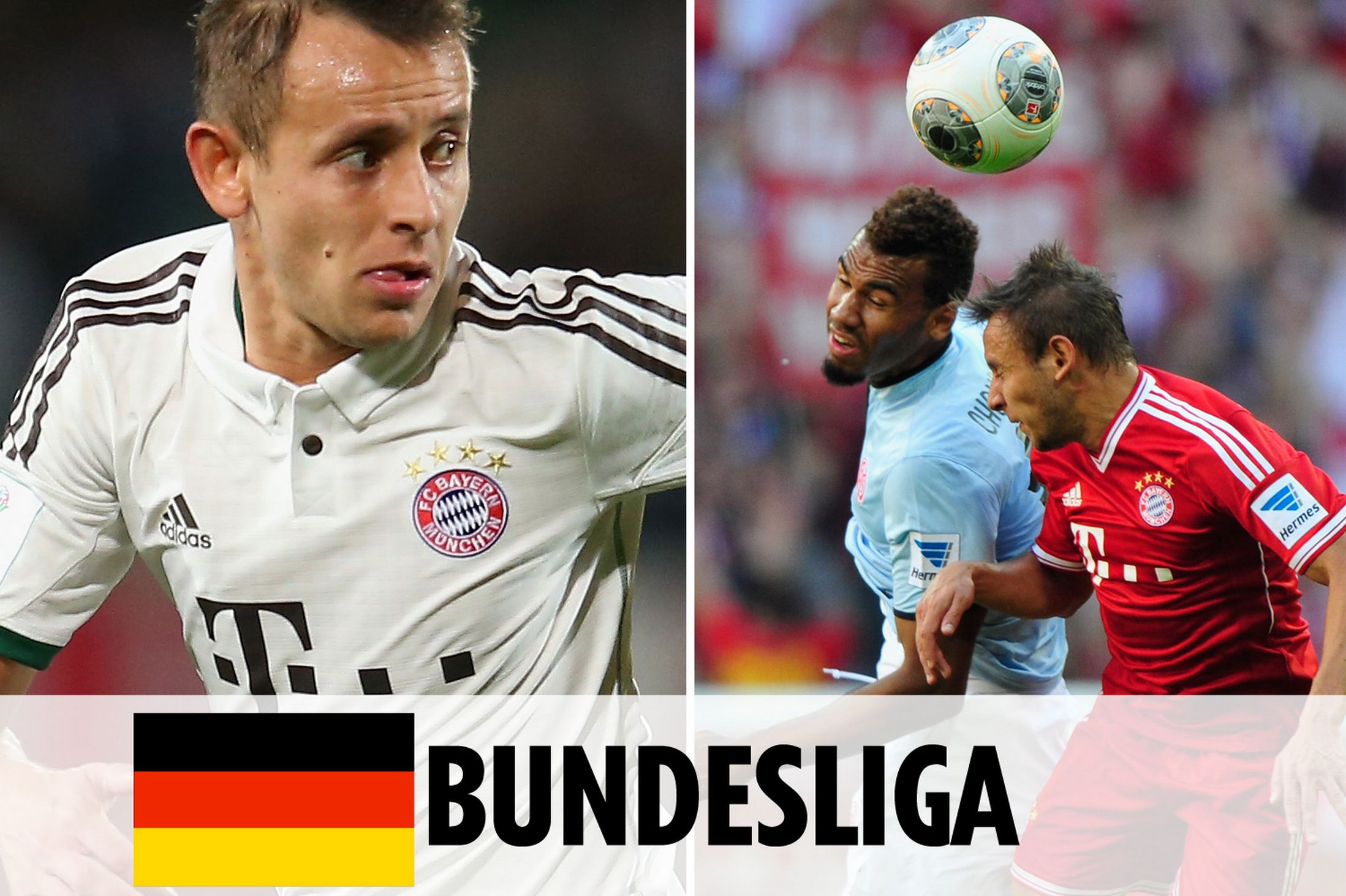 拉利的接触 拉利的接触